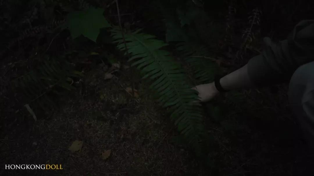 玩偶姐姐Hongkongdoll之新森林第零集-她的妄想视频剧情
